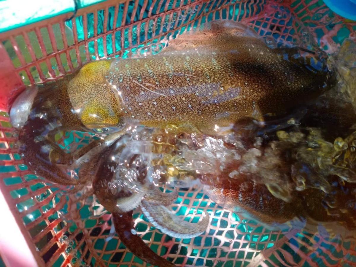Homestay&Chaoleyseafoodrestaurant Ko Pu ภายนอก รูปภาพ